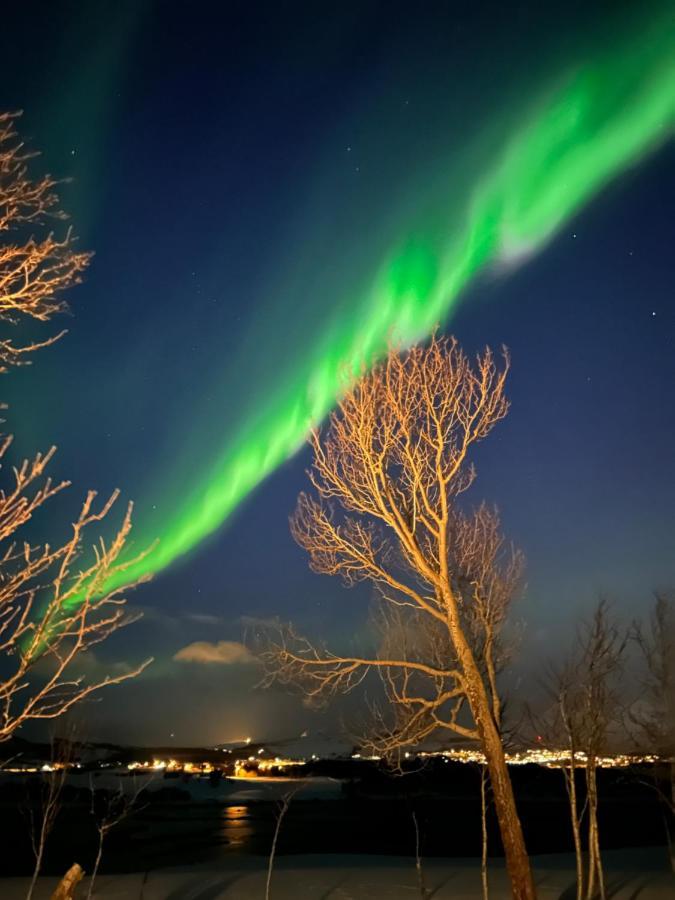 Vila Lofotbua Offersoya Exteriér fotografie